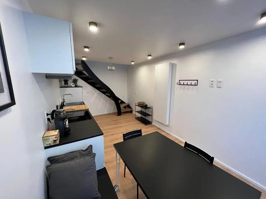 Triplex D'Architecte En Hypercentre Apartment Liege Belgium